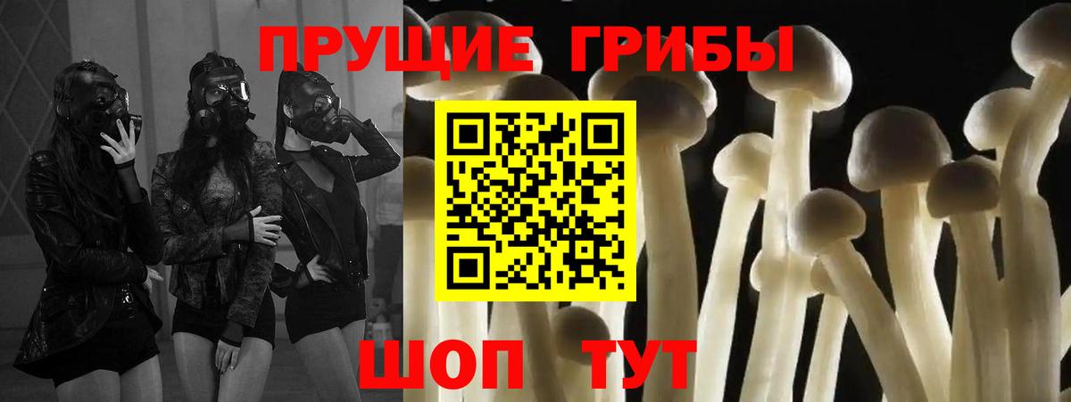 Псилоцибиновые грибы мухоморы  Вход с VPN  где купить наркотик  Псилоцибиновые грибы мицелий  Славянск-на-Кубани 